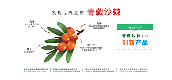 Output -Lightbox( Side2 4300x2000mm) - 0517 V2-01.jpg